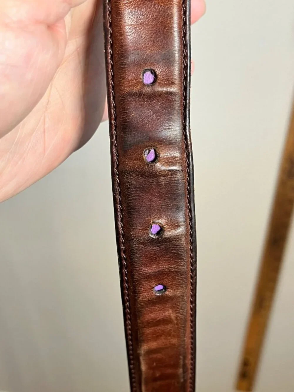 Fossil great pre